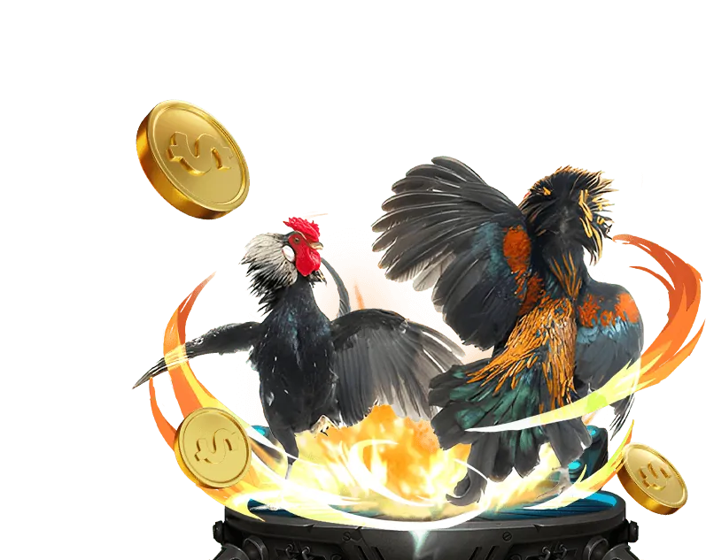 Cá cược bóng đá tại Nhà Cái B52